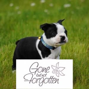 Meet your Posher, Mackenzie